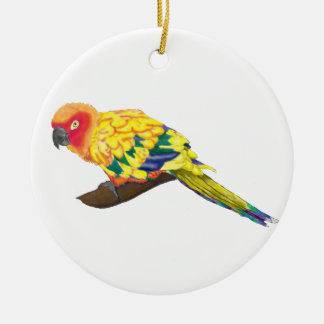 Rond En Céramique Ornement de Sun Conure