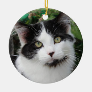 Rond En Céramique Ornement de Tuxedo