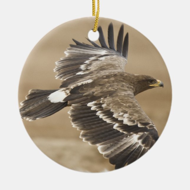 Rond En Céramique Ornement d'Eagle de vol (Devant)