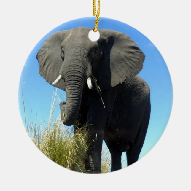 Rond En Céramique Ornement d'éléphant africain (Devant)