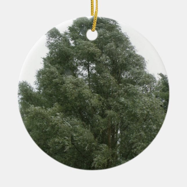 Rond En Céramique Ornement des arbres (Devant)