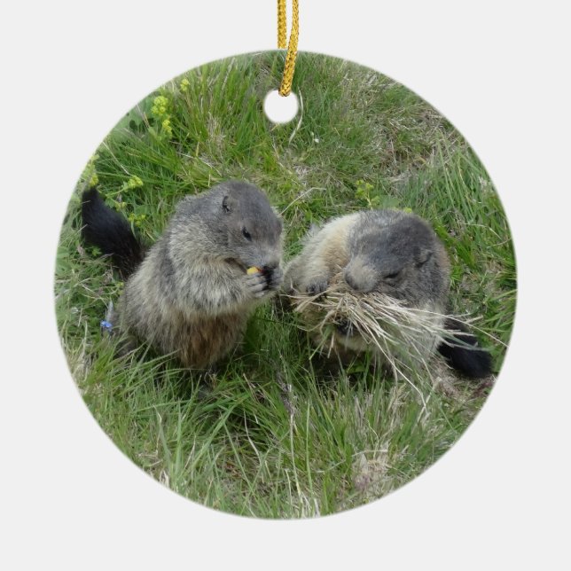Rond En Céramique Ornement des marmottes (Devant)