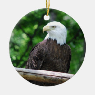 Rond En Céramique Ornement d'oiseau d'Eagle chauve