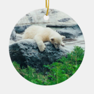 Rond En Céramique Ornement d'ours blanc