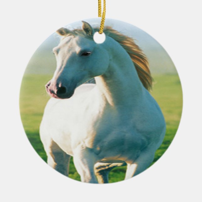 Rond En Céramique Ornement du cheval blanc (Devant)