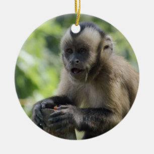Rond En Céramique Ornement espiègle de singe
