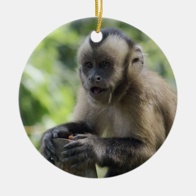 Rond En Céramique Ornement espiègle de singe (Devant)