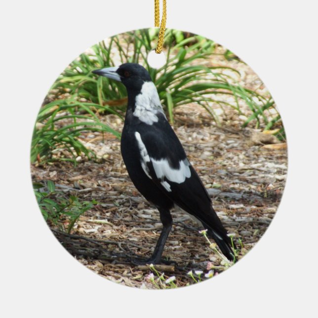 Rond En Céramique Ornement Magpie australien (Devant)