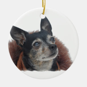 Rond En Céramique Ornement mignon de chiwawa