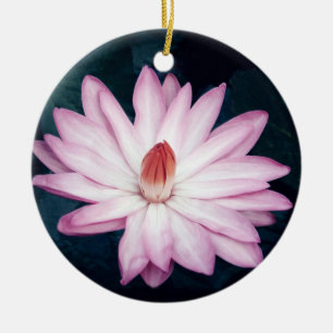 Rond En Céramique Ornement rose de Lotus