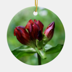 Rond En Céramique Ornement rouge de fleur de gentiane