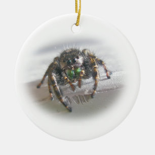 Rond En Céramique Ornement sautant de Noël d'audax de Phiddipus