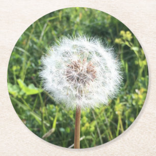 Rond Ensemble de Dessous de verre Dandelion