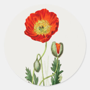 ROND ENVELOPE SEAL STICKER : MERCI : POPPY