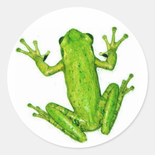 Rond Frog Tropical Rainforest Tree Sticker Art