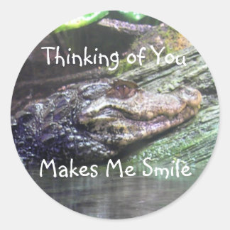 Rond 'Gator Grins : Pensez à vous - Sticker