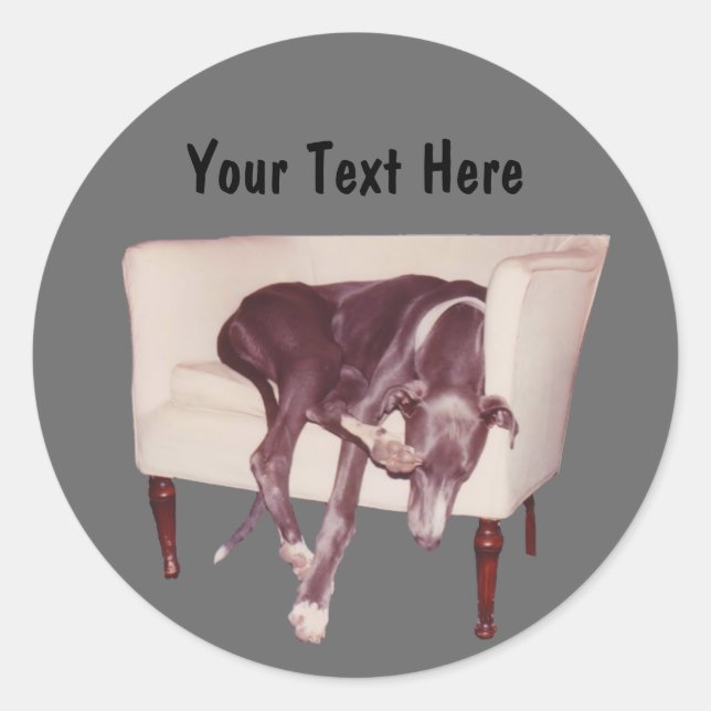 Rond Gris Dormir Dans Chaise Drôle Sticker Chien (Devant)