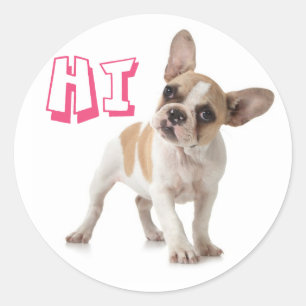 Rond Helllo Hi French Bulldog Puppy Dog Sticker / Sceau