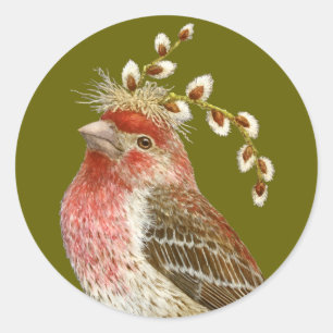 Rond House finch sticker
