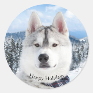 Rond Joli Pet Photo Happy Holidays Sticker