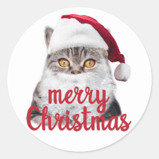 Rond joyeux Noël père Noël chat sticker