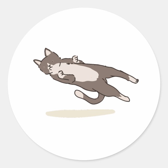 Rond Levitating Cat sticker (Devant)