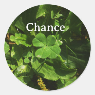 Rond Lucky Charm Sticker - Four Leaf Clover 
