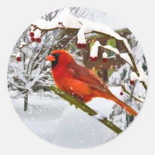 Rond Noël, Oiseau cardinal, Neige, Sticker