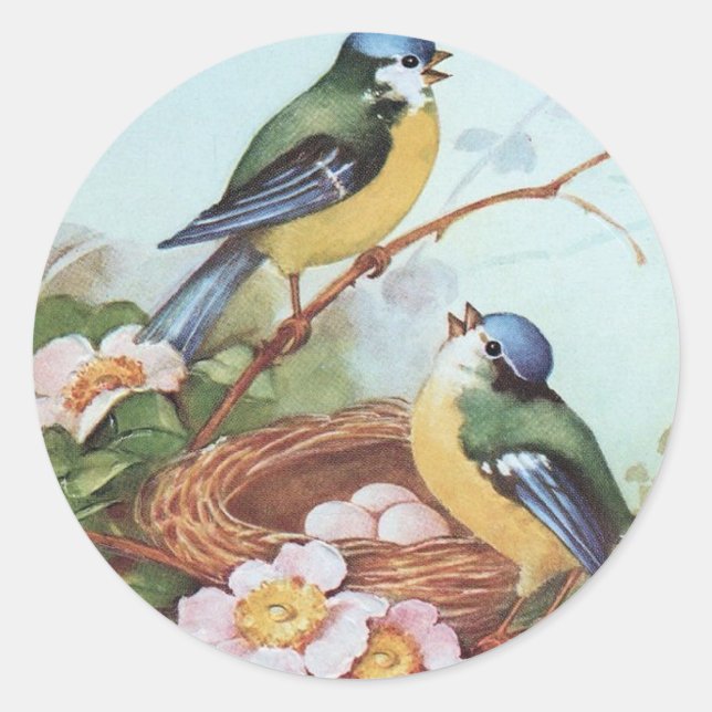 Rond Oiseaux sur un nid - Sticker (Devant)