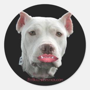 Rond Pit Bull avec Sticker en bâton