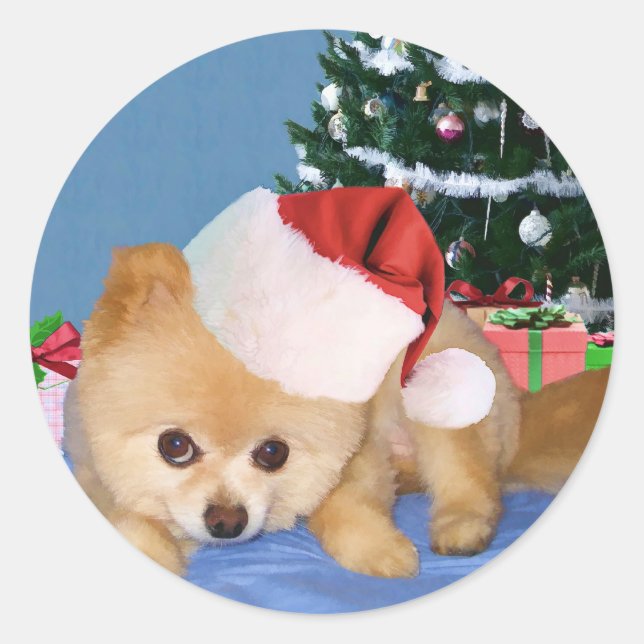 Rond Poméranien à Sticker de Santa Hat (Devant)