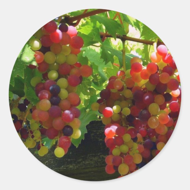 Rond Raisins Sur Un Sticker À Vins (Devant)