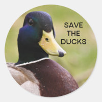 Sauvons Le Sticker Canards