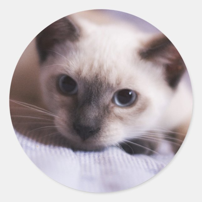 Rond Sticker (Devant)