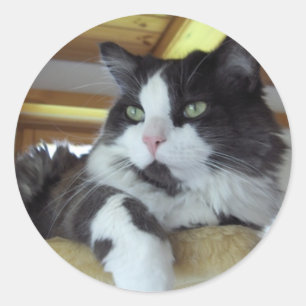 Rond Sticker