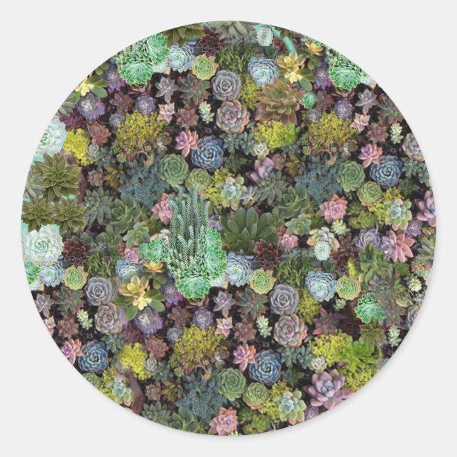 Rond Sticker (Devant)