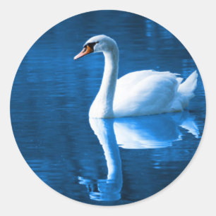 Rond Sticker à cygne