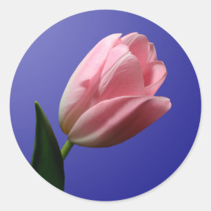 Rond Sticker à enveloppe de tulipe de printemps