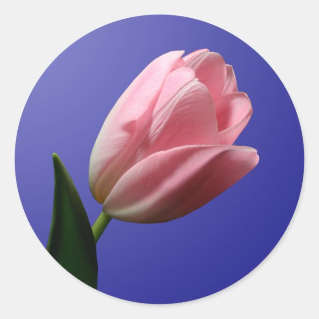 Rond Sticker à enveloppe de tulipe de printemps (Devant)