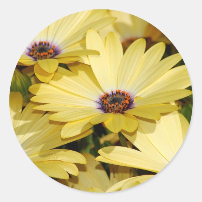 Rond Sticker à fleurs (Devant)