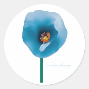 Rond Sticker à fleurs de pavot bleu de l'Himalaya