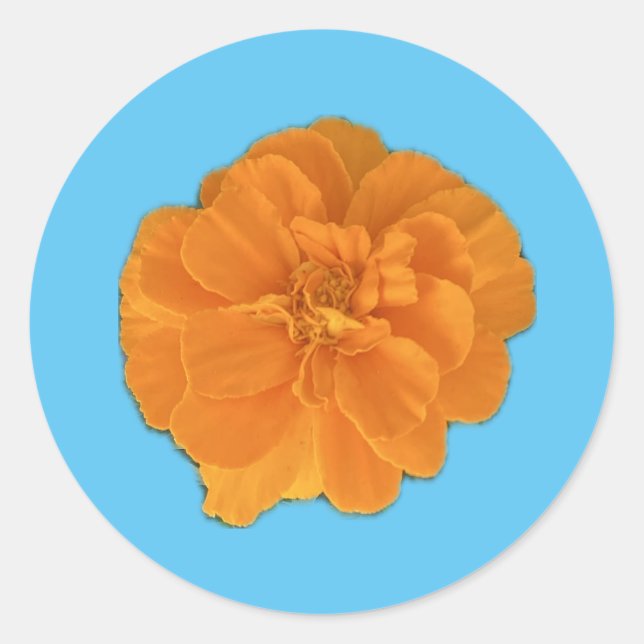 Rond Sticker à fleurs Marigold (Devant)