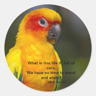 Rond Sticker à perroquets Sun Conure (avec texte)