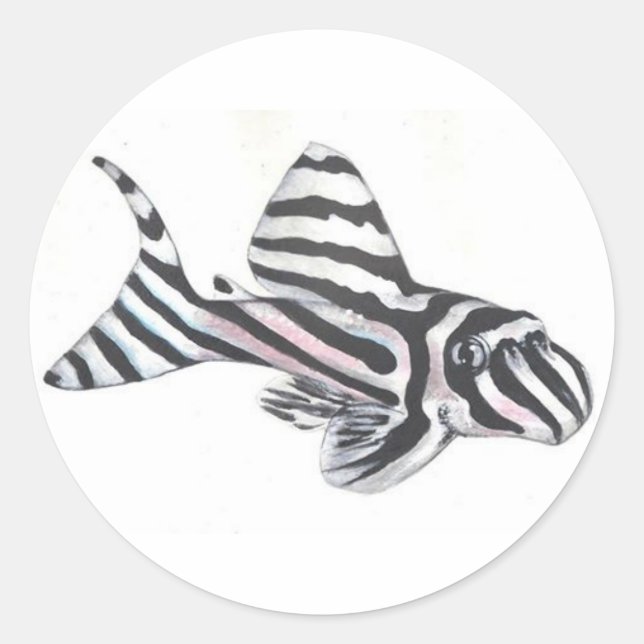 Rond Sticker à poisson catfish Zebra Pleco L46 (Devant)