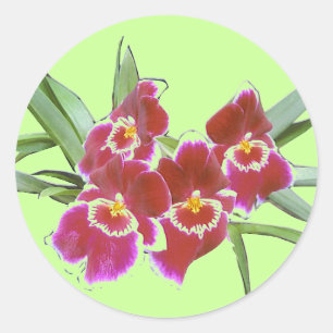 Rond Sticker à pulvérisateur d'orchidée