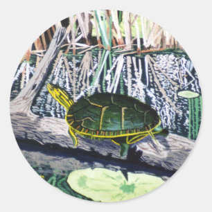 Rond Sticker à tortue peinte