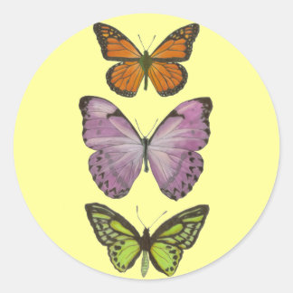 Rond Sticker à trois papillons
