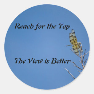 Rond Sticker à vol de dragon