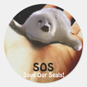 Rond Sticker anti-chasse au phoque BABY HARP SEAL