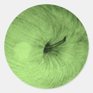 Rond Sticker aux pommes vertes